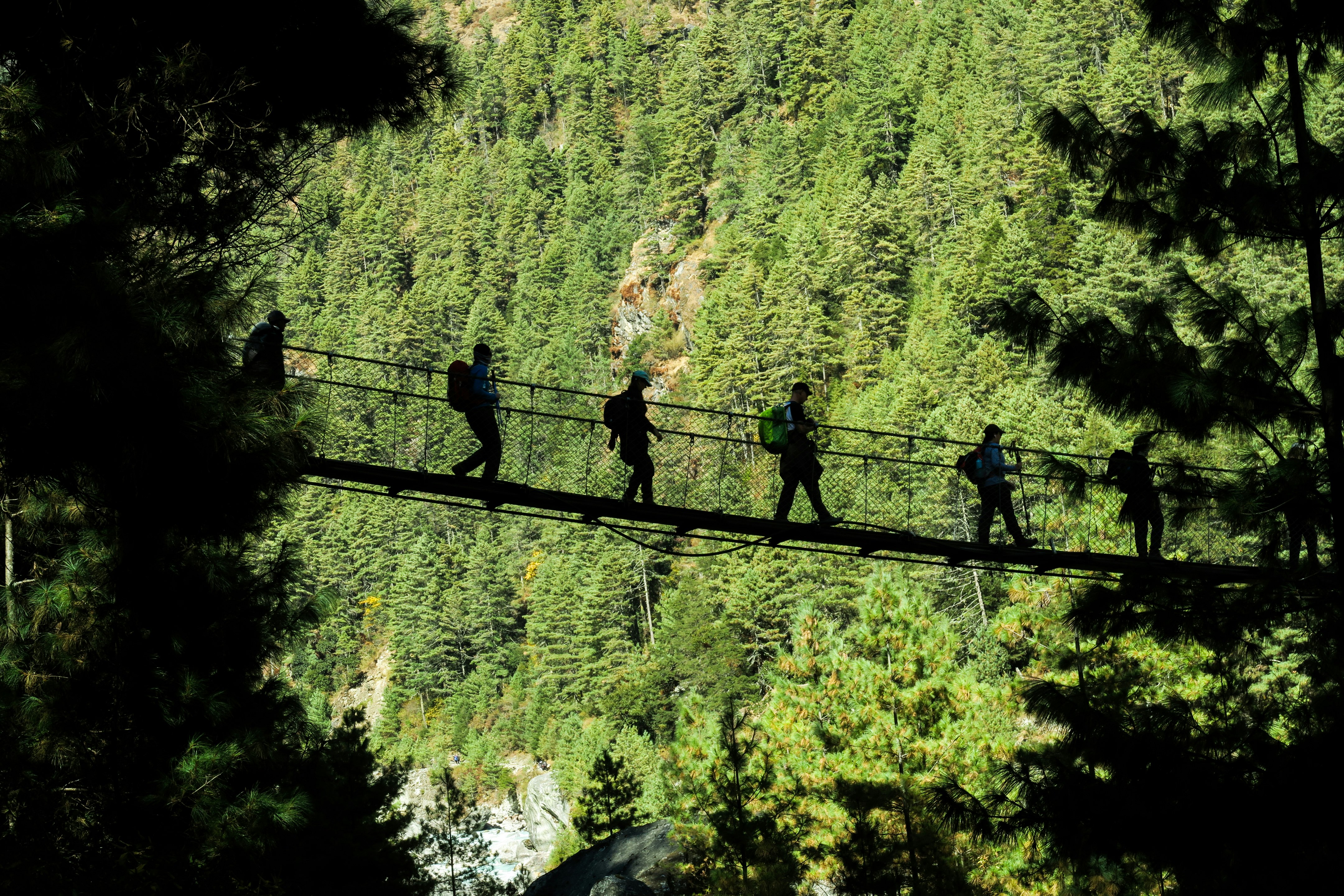 five person walking on hanging bridge